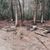 Sandspielbereich mit Bäumen am Waldplatz